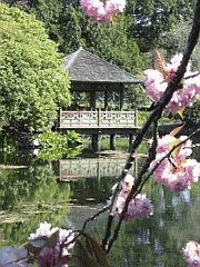 ロイヤルローズ日本庭園